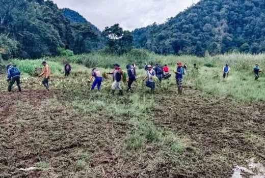 Perhutani Respons Soal Area Edelweis Rusak Dilindas Trail di Bandung - GenPI.co