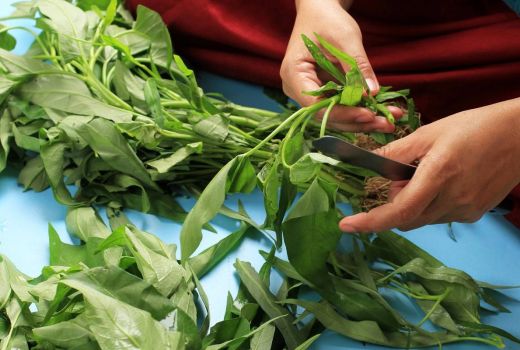 3 Makanan Tinggi Antioksidan yang Wajib Dikonsumsi, Cegah Penyakit Kronis - GenPI.co