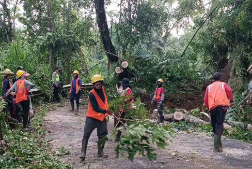 Jalur Utama ke Pura Besakih Bali Tertutup Akibat Longsor - GenPI.co