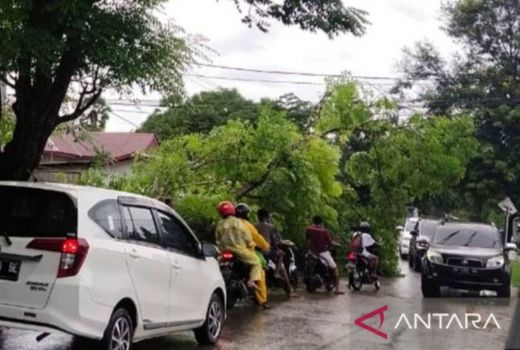BMKG Imbau Warga NTT Waspada Cuaca Ekstrem Dampak Bibit Siklon Tropis - GenPI.co