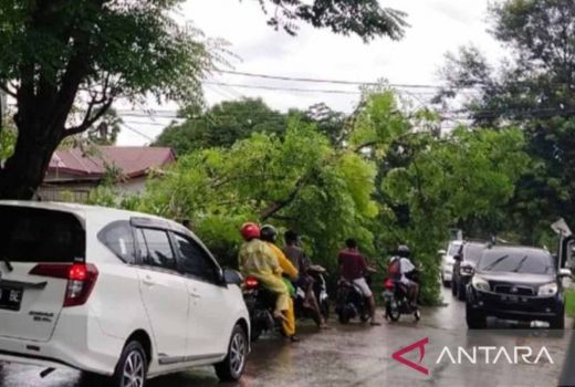 BMKG Minta Warga di 5 Pulau NTT Waspada Potensi Angin Kencang - GenPI.co