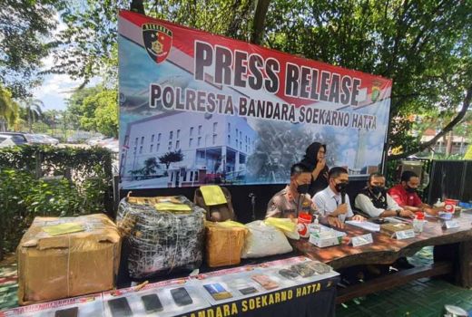 Penyelundupan 67,8 kg Sisik Trenggiling dari Jawa Barat dan Banten Digagalkan - GenPI.co