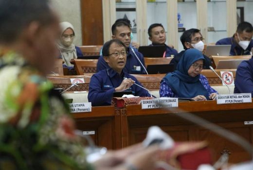 PLN Pastikan Sistem Kelistrikan Aman Selama Momen Mudik, DPR Beri Apresiasi - GenPI.co