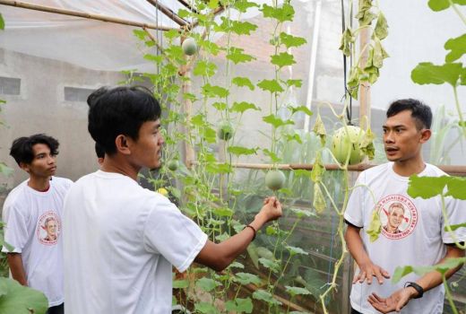 Gandeng Milenial, PMN Dukung Ganjar Gelar Pelatihan Menanam Melon - GenPI.co