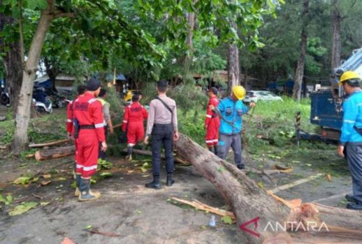 BMKG Jelaskan Penyebab Angin Kencang di Bengkulu hingga Timbulkan Korban - GenPI.co