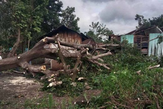 Imbauan Penting BMKG, Waspada Potensi Angin Kencang di NTT - GenPI.co
