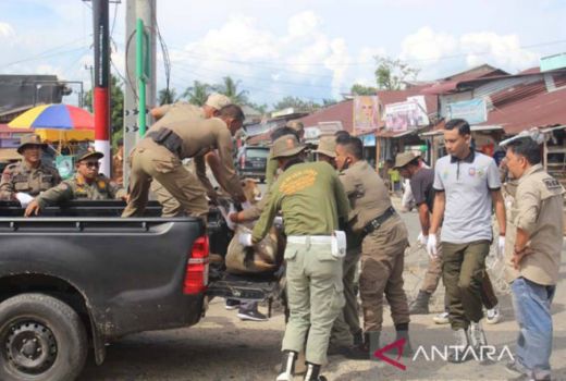 Warga Aceh Jaya Resah, Banyak Hewan Ternak Berkeliaran di Fasilitas Umum - GenPI.co