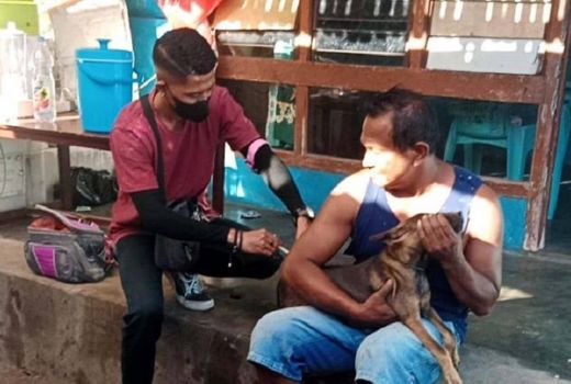 Vaksinasi Hewan Digencarkan Menyusul KLB Rabies di Sikka - GenPI.co