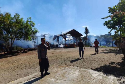 Polisi Masih Mediasi Redam Kejadian di Nabire, Sudah 6 Rumah Dibakar - GenPI.co