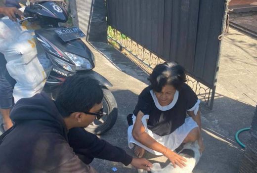 9 Anjing Ditemukan Terinfeksi Rabies di Bali, Vaksinasi Digencarkan - GenPI.co
