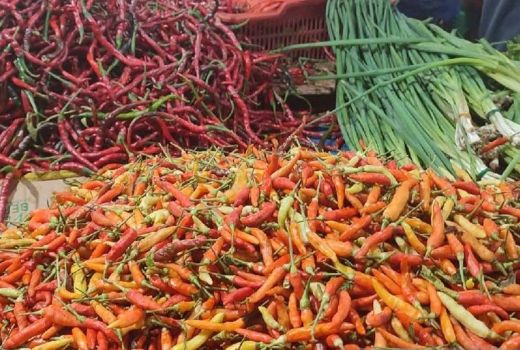 Cabai Rawit, Si Pedas yang Bisa Memengaruhi Metabolisme - GenPI.co