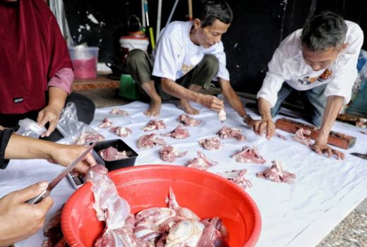 Ganjar Sejati Ajarkan Pemotongan Hewan Kurban Sesuai Syariat Islam - GenPI.co