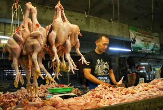 Harga Daging Ayam Masih Tinggi, Ini yang Dilakukan Pemprov Jabar - GenPI.co