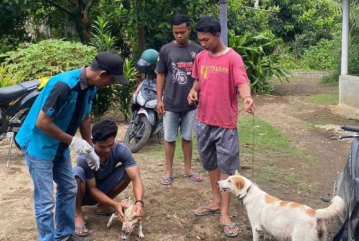26 Kasus Rabies di Pasaman Barat, Ada 1 Balita Meninggal Dunia - GenPI.co