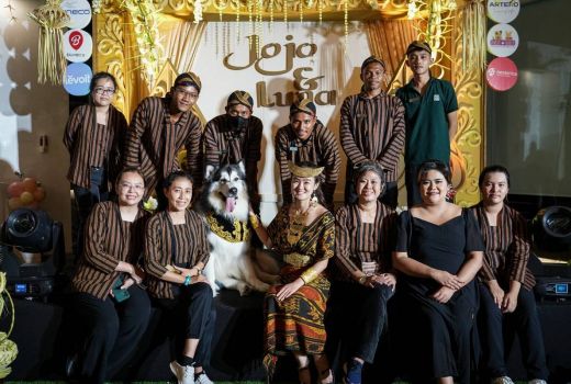 Ballooney Meriahkan Resepsi Pernikahan Jojo & Luna, Sepasang Anjing Alaskan Malamute - GenPI.co
