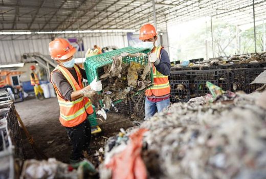 Tekan Pemakaian Batu Bara, PLN Grup Gunakan Biomassa pada 40 PLTU - GenPI.co
