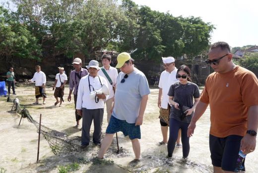 Airlangga Hartarto Sebut Rumput Laut Pendorong Ekonomi Nusa Lembongan Bali - GenPI.co