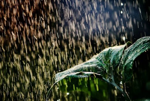 Kekeringan Melanda di Sejumlah Daerah, MUI Kota Bandung Ajak Warga Perbanyak Berdoa - GenPI.co