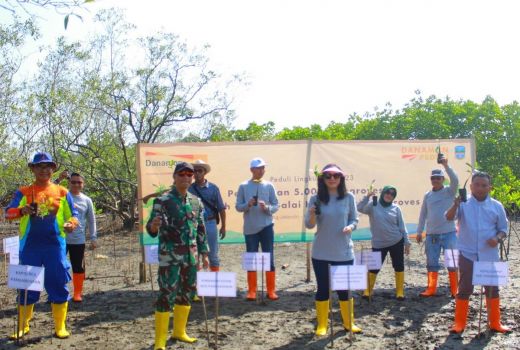 Upaya Pengurangan Risiko Bencana di Pangandaran, Danamon Tanam 5.000 Pohon Mangrove - GenPI.co