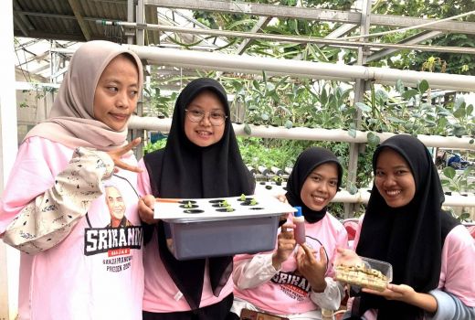 Buka Bisnis, Srikandi Ganjar Latih Milenial Tanam Sayur Hidroponik di Rumah - GenPI.co