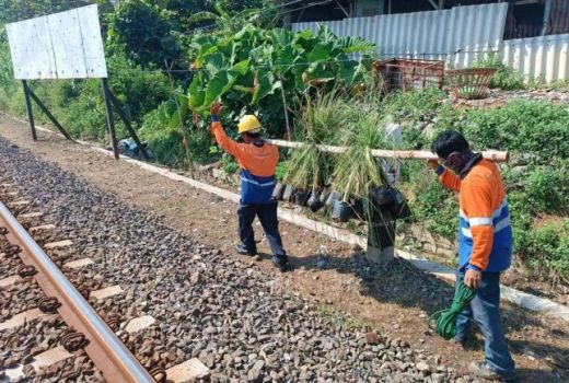 Cegah Longsor di 131 Titik Jalur KA, Daop 4 Semarang Tanam Rumput Akar Wangi - GenPI.co