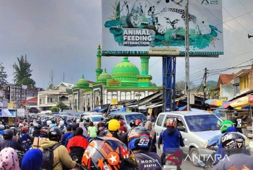Malam Pergantian Tahun Baru, Kawasan Wisata Puncak Bogor Bebas Kendaraan Bermotor - GenPI.co