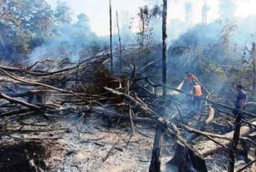 BMKG Deteksi 42 Titik Panas di Kalimantan Timur, Ini Sebarannya - GenPI.co