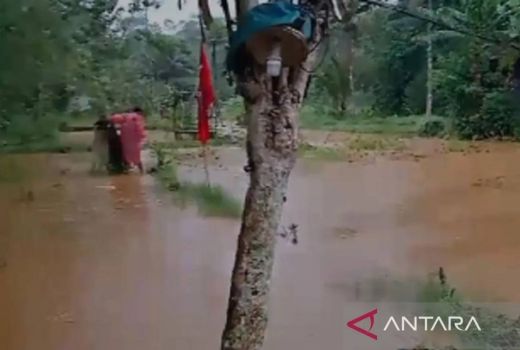 Banjir di Sukabumi, Rumah dan Tambak Ikan serta Lahan Pertanian Terendam Air - GenPI.co