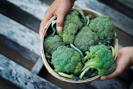 Pentingnya Mengonsumsi Brokoli Saat Sedang Menjalani Program Diet - GenPI.co