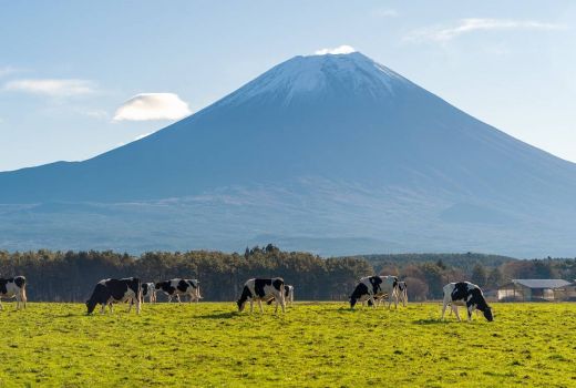 Jepang Membatasi Jumlah Pengunjung yang Ingin Mendaki Gunung Fuji - GenPI.co