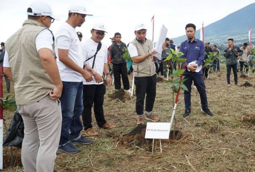 Tanam Pohon Bersama KLHK, PLN UIP JBT Dukung Upaya Menanggulangi Kerusakan Lingkungan - GenPI.co