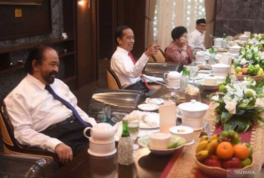 Rencana Pertemuan Megawati dan Surya Paloh, PDIP: Demokrasi Harus Dijaga - GenPI.co