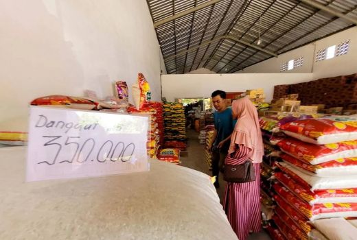 Kabar Baik! Harga Beras di Situbondo Jawa Timur Mulai Turun Jadi Rp 14.000/Kg - GenPI.co