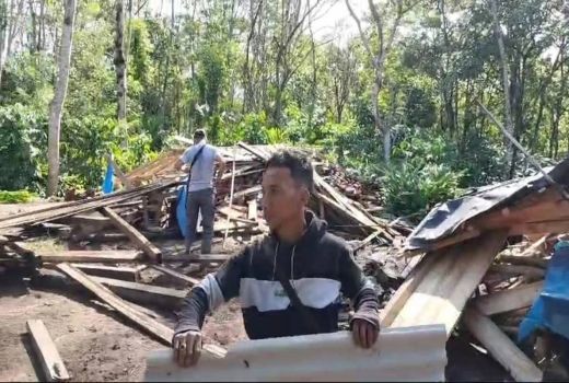 Waduh! Kawanan Gajah Liar Rusak Area Wisata Bandar Negeri Suoh dan Rumah di Lampung Barat - GenPI.co