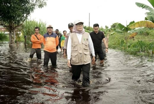 5.773 Orang di Palangka Raya Terdampak Banjir, 1.181 Rumah Warga Tergenang - GenPI.co