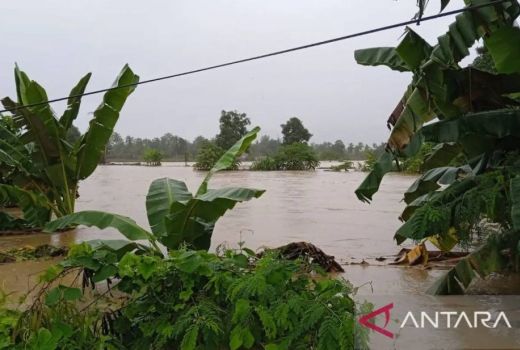 Banjir dan Tanah Longsor Terjang Luwu Sulawesi Selatan, 14 Warga Meninggal - GenPI.co