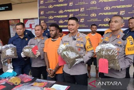 Penyelundup 2,7 Kg Ganja dari Papua Nugini Ditangkap Polisi di Argapura - GenPI.co