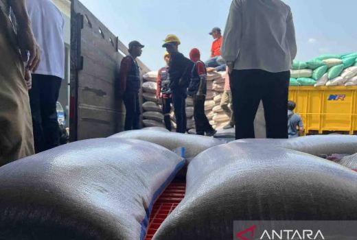 Bulog Target Penyerapan 600.000 Ton Beras hingga Mei 2024 - GenPI.co