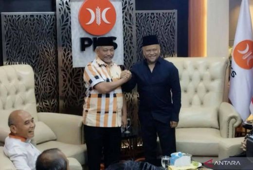 NasDem Sodorkan Ilham Habibie ke PKS untuk Pilkada Jawa Barat - GenPI.co