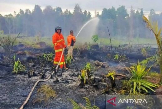 Waspada! BMKG Ingatkan Ada 165 Titik Panas Terdeteksi di Kalimantan Barat - GenPI.co