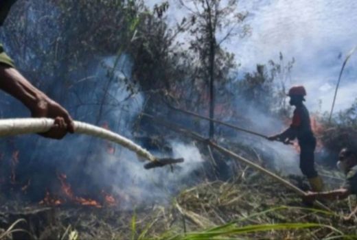 BMKG Deteksi 105 Titik Panas di Sumatra Utara - GenPI.co