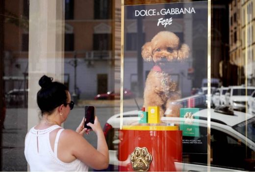 Dolce & Gabbana Meluncurkan Parfum untuk Anjing, Begini Kata Dokter Hewan - GenPI.co