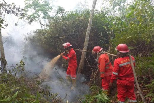 Lahan Seluas 750,83 Ha di Sumatra Selatan Terbakar - GenPI.co