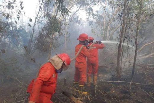 20 Ha Lahan di OKI Sumsel Terbakar, Kualitas Udara di Palembang Memburuk - GenPI.co