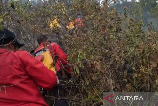 Lahan Seluas 10 Hektare di Karo Sumatra Utara Terbakar, BNPB Cari Penyebabnya - GenPI.co
