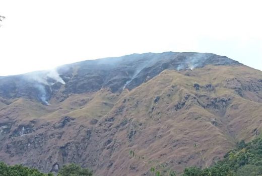 Bukit di Kaki Gunung Rinjani Terbakar, Ini Kondisinya - GenPI.co