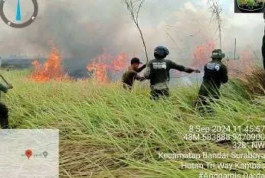 Waduh! Taman Nasional Way Kambas Kebakaran, Ini Kondisinya - GenPI.co