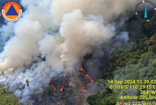 Miris! 13.057 Hektare Lahan di Kalbar Terbakar Sepanjang Tahun 2024 - GenPI.co