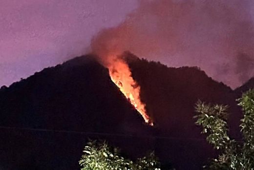 Hutan di Gunung Telomoyo Kebarakan, Diduga Ada Warga Bakar Rumput dan Daun - GenPI.co