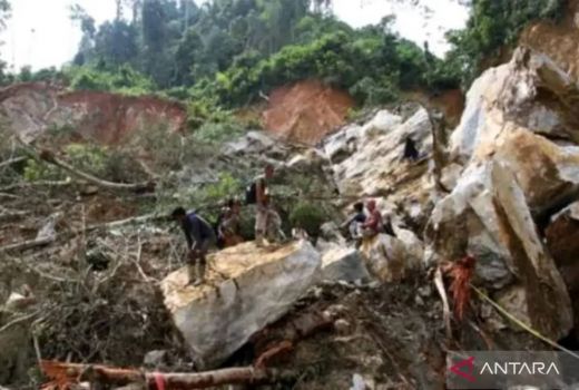 BNPB Sebut Lokasi Longsor di Solok Adalah Tambang Ilegal - GenPI.co